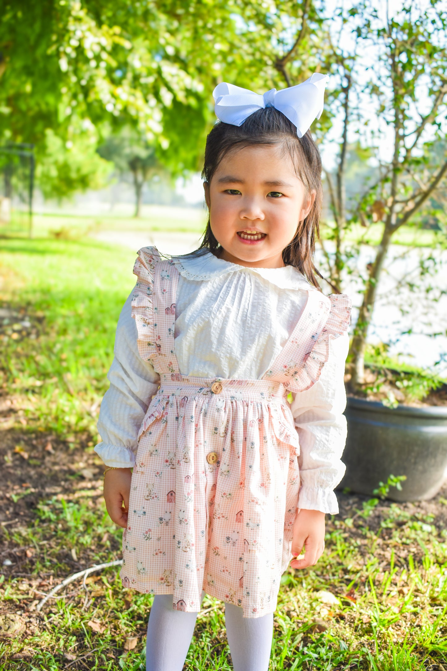 Farmhouse Friends Suspender Skirt Set
