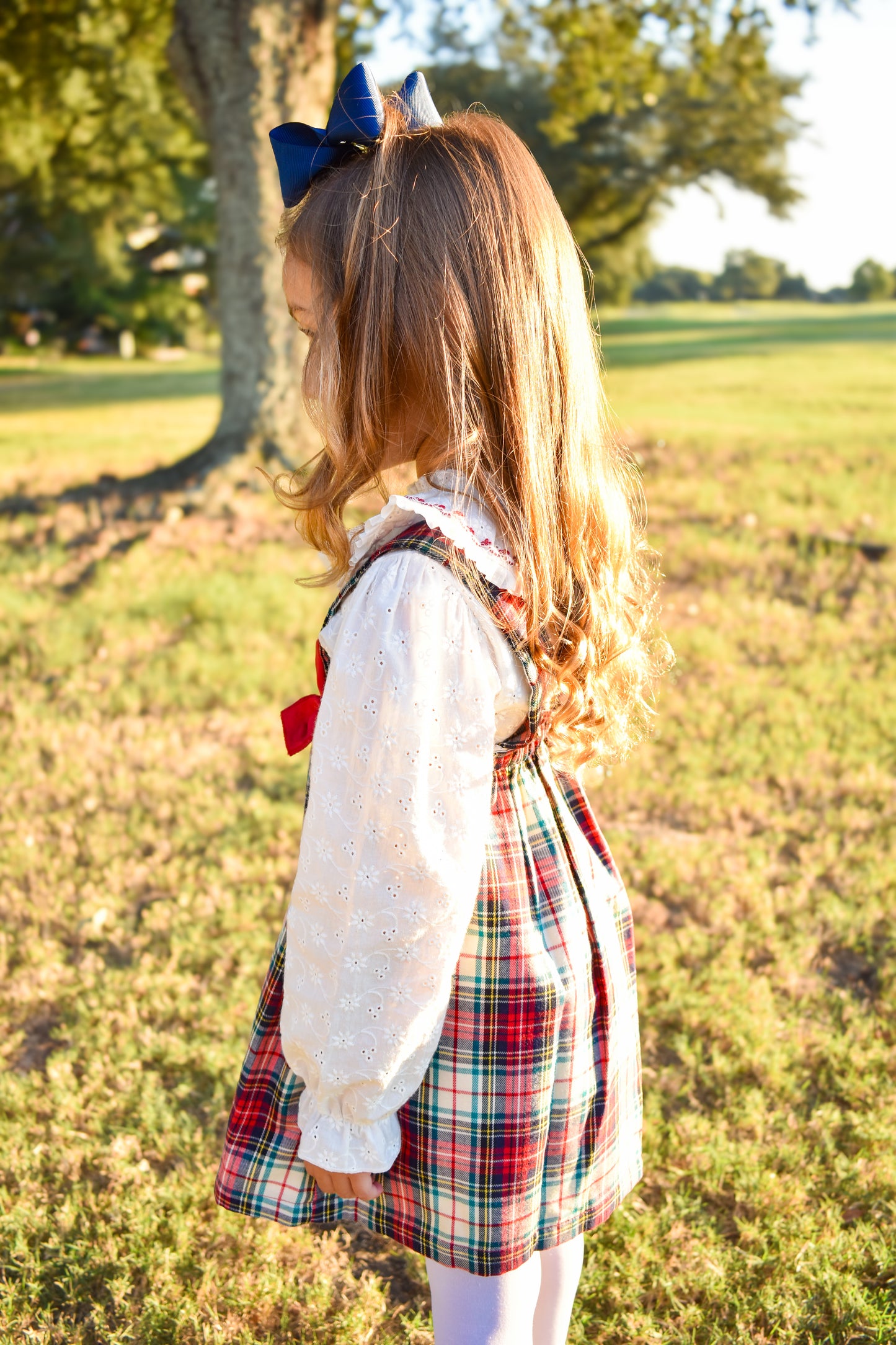 Stewart Tartan Holiday Suspender Set